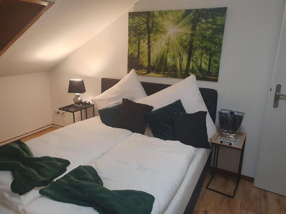 Waterfalls Apartment Triberg im Schwarzwald Eksteriør billede